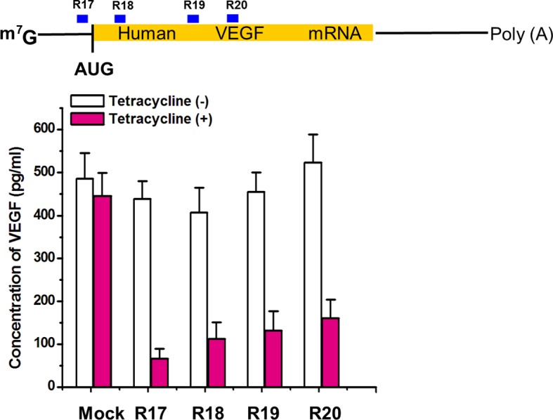 Figure 2—figure supplement 5.