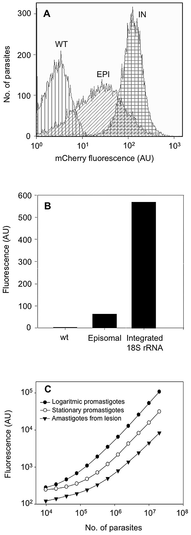 Figure 2