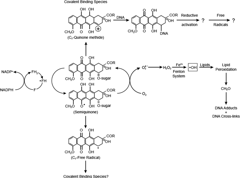 Figure 1: