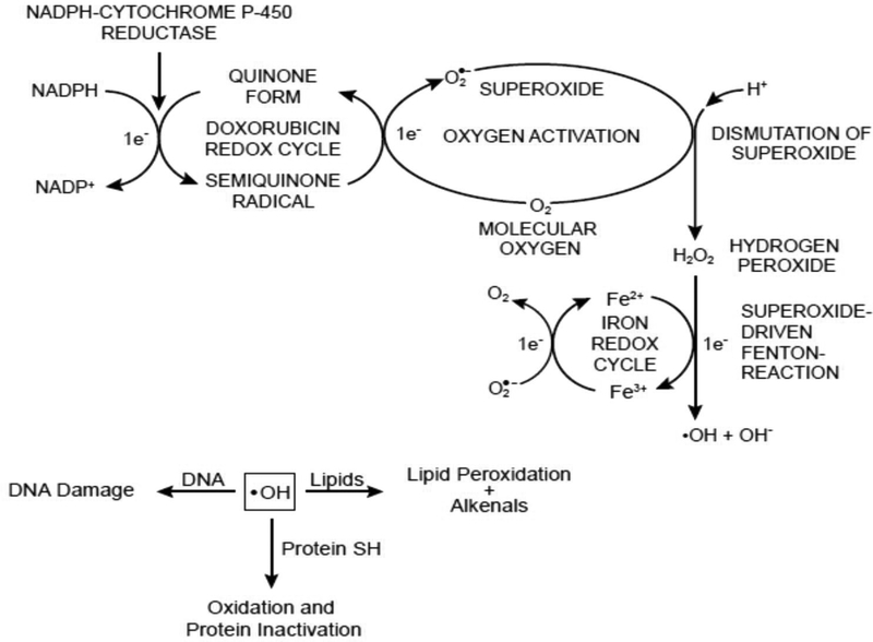 Figure 2: