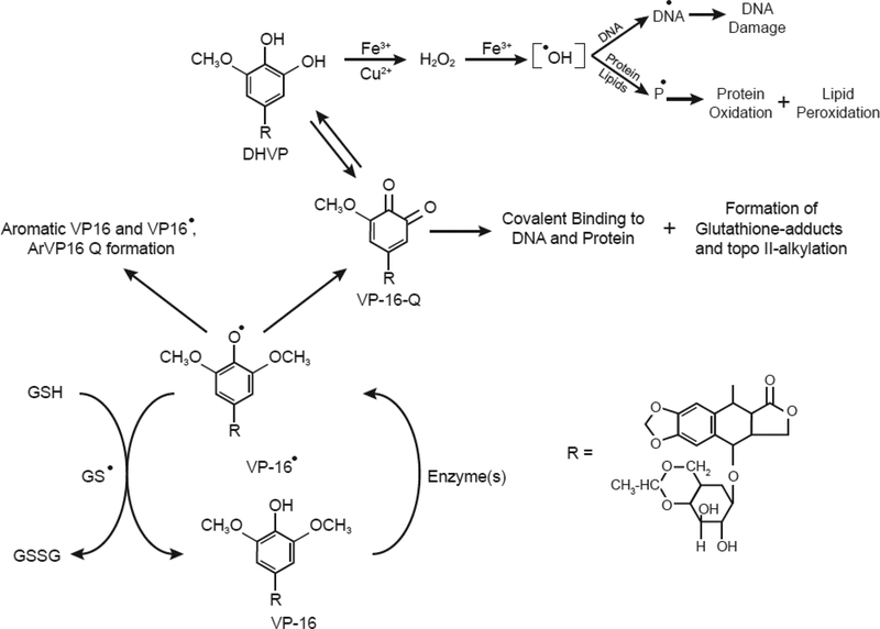 Figure 3: