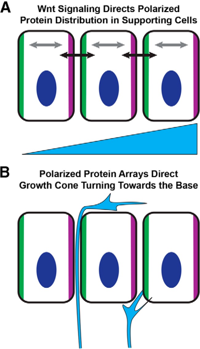 Figure 9.