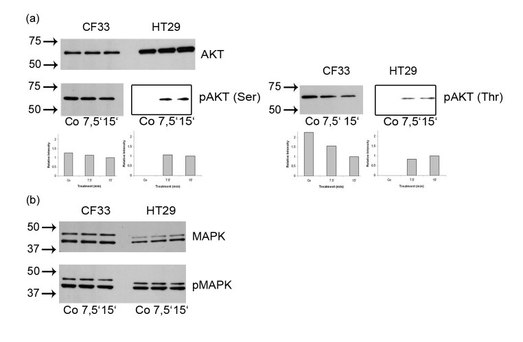 graphic file with name fig.4weichselbaumer-comp.jpg