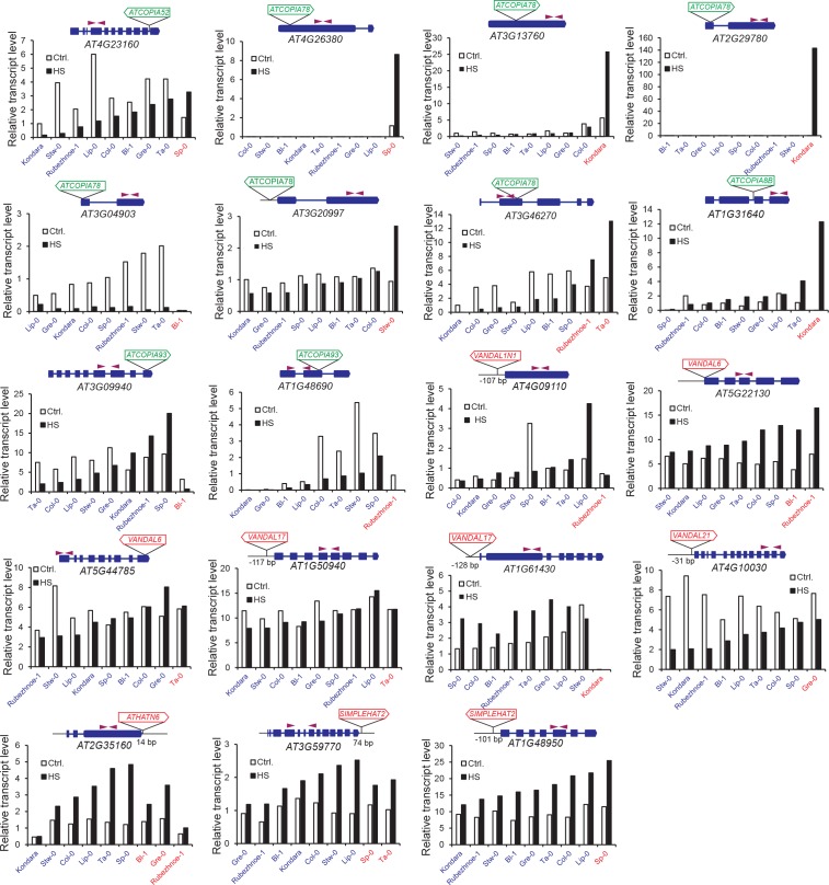 Figure 3—figure supplement 4.