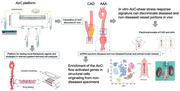 graphic file with name ADHM-13-2302907-g007.jpg