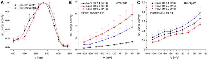 FIGURE 3