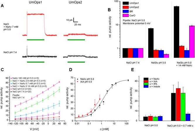 FIGURE 4