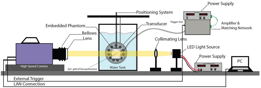 Figure 3: