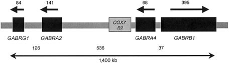 Figure  1