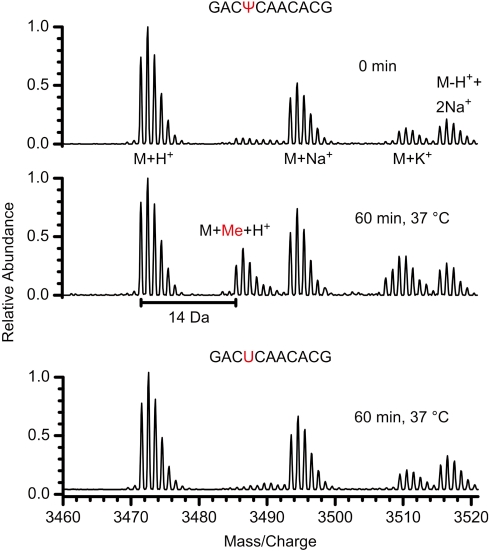 Figure 5.