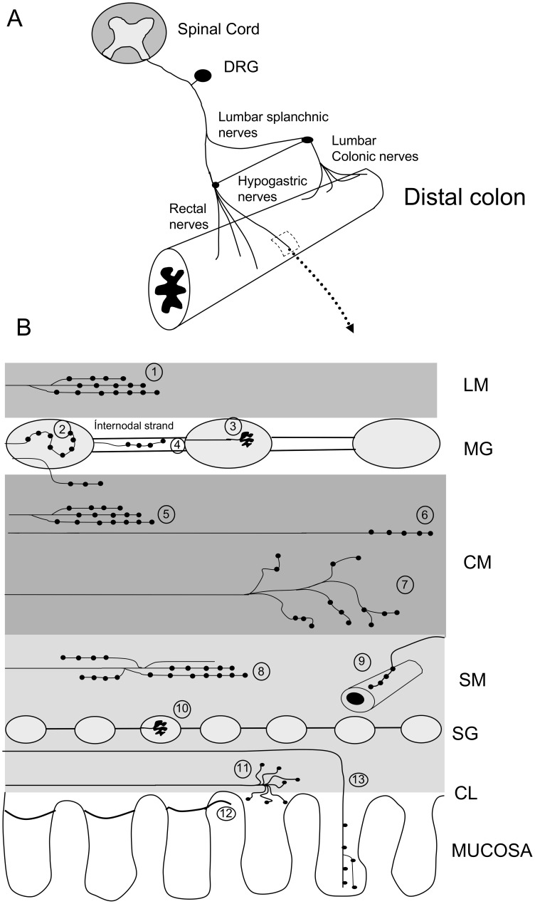 Figure 13