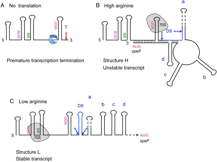 Fig 7