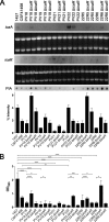 FIG 6