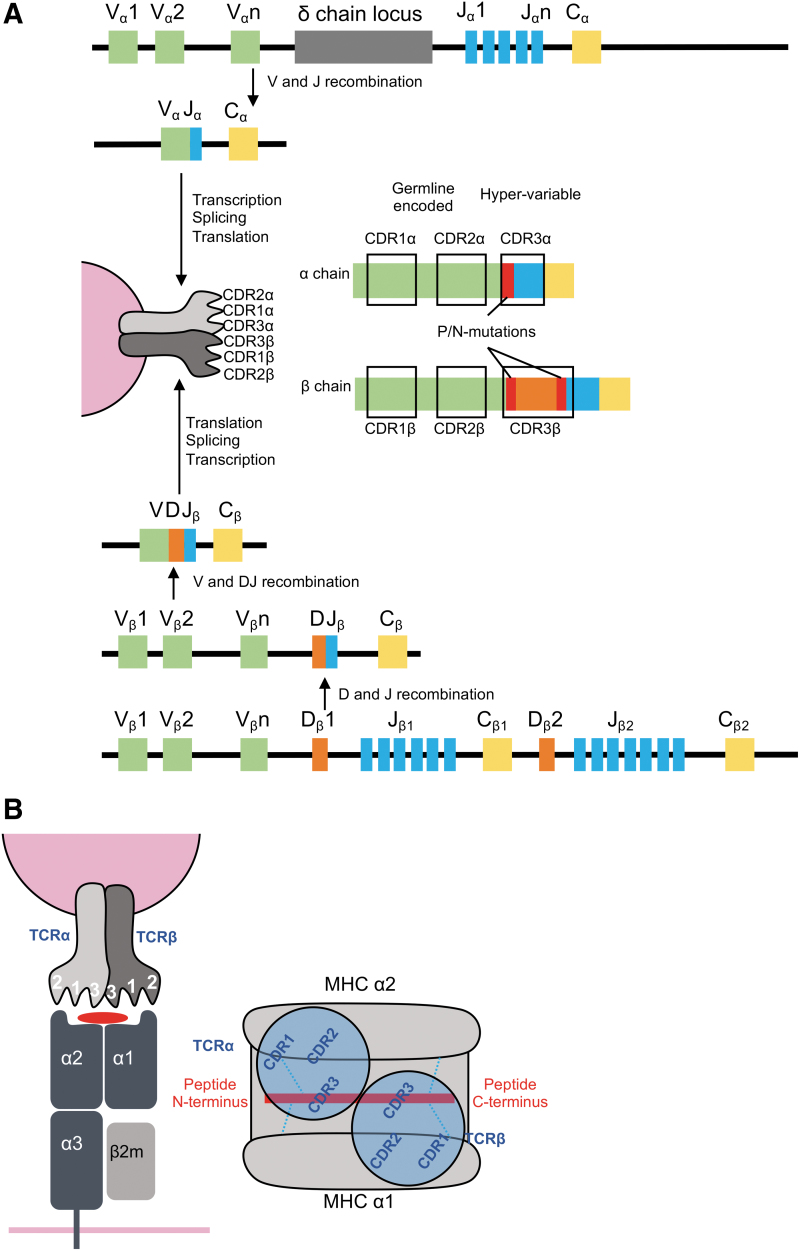 FIG. 6.