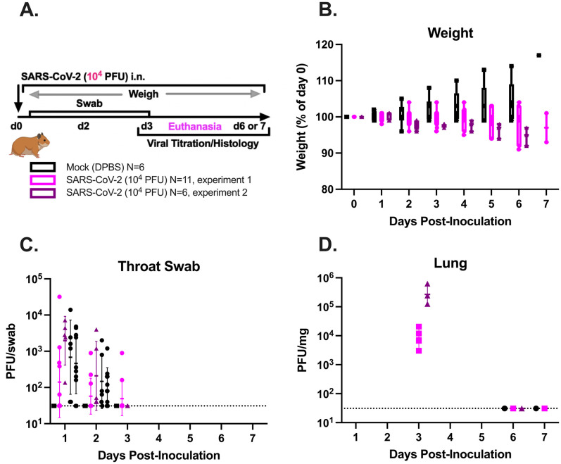 Supplemental Figure S1