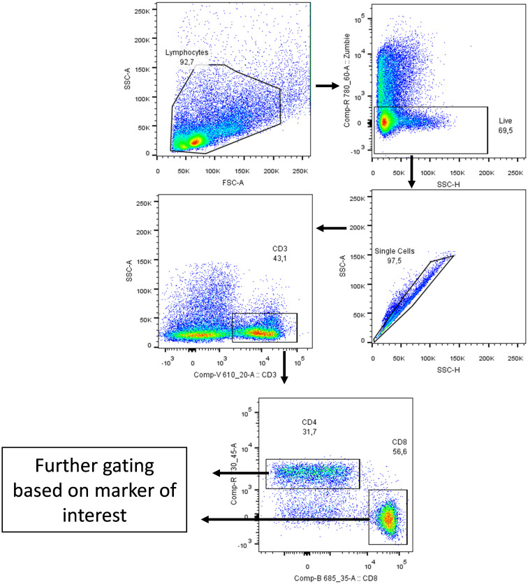 Figure 2