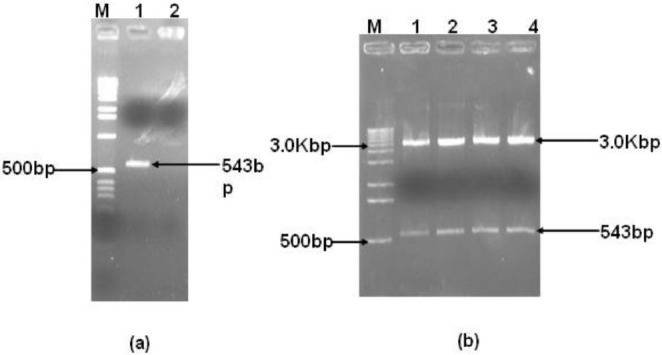 Fig.