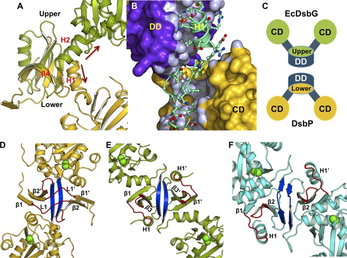 FIGURE 5.