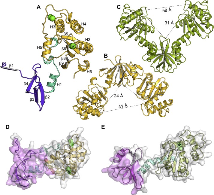 FIGURE 1.