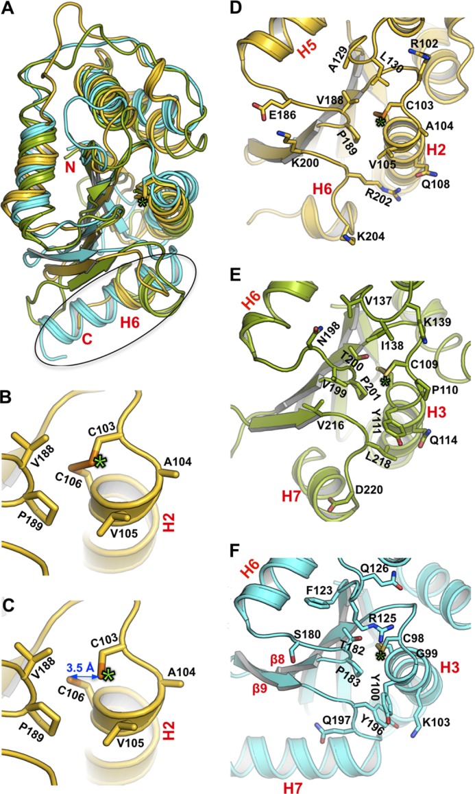 FIGURE 3.