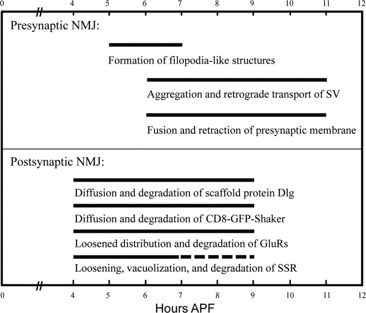 graphic file with name zns999108734000t.jpg