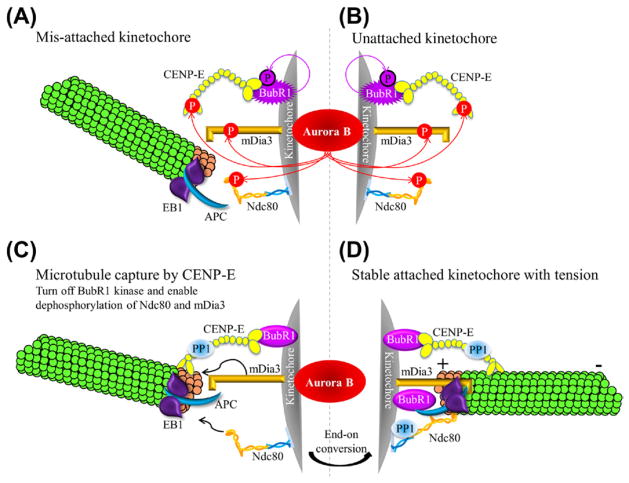 Figure 6.3