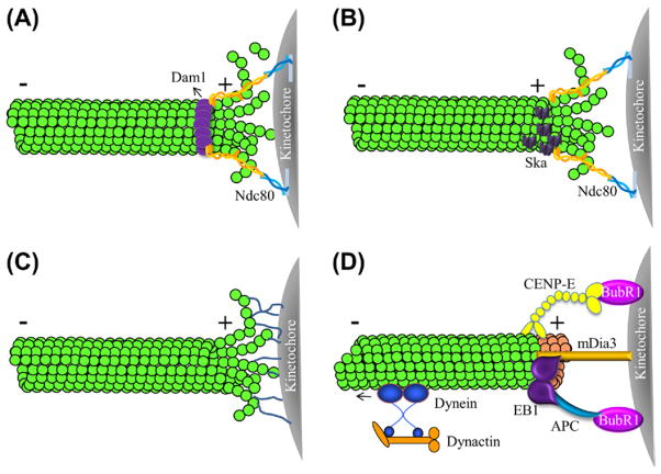 Figure 6.2