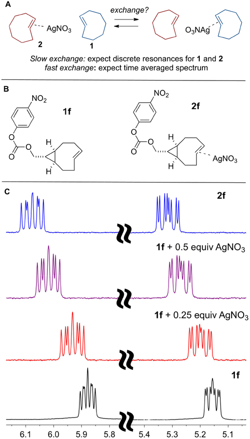 Scheme 5