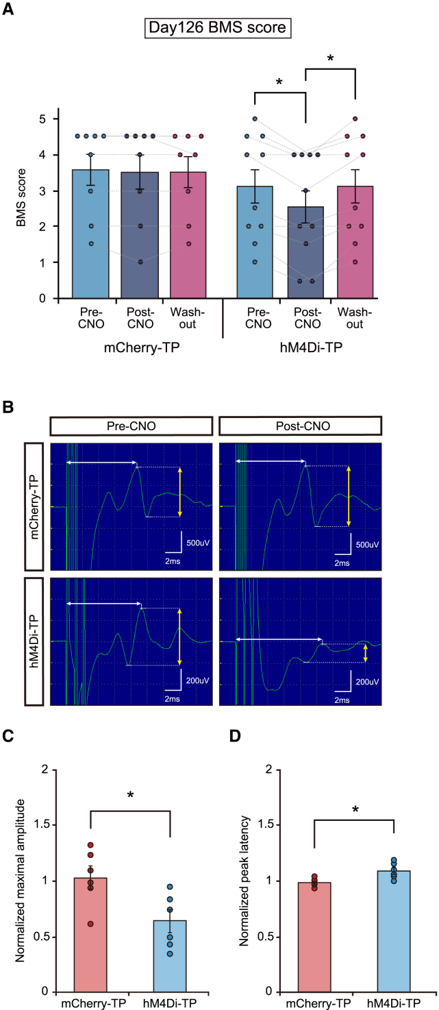 Figure 6