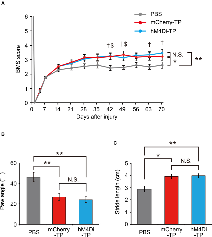 Figure 4