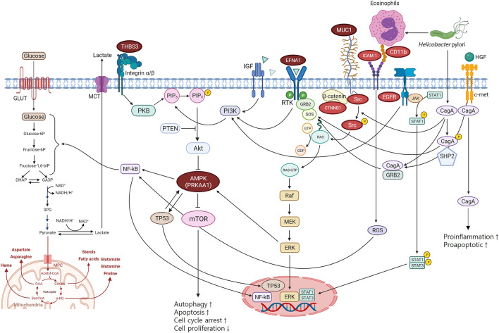 FIGURE 3