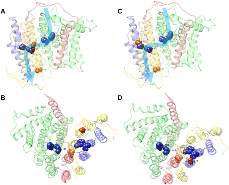 Fig 6