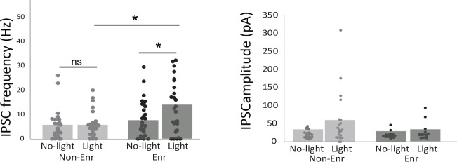 Figure 1—figure supplement 3.