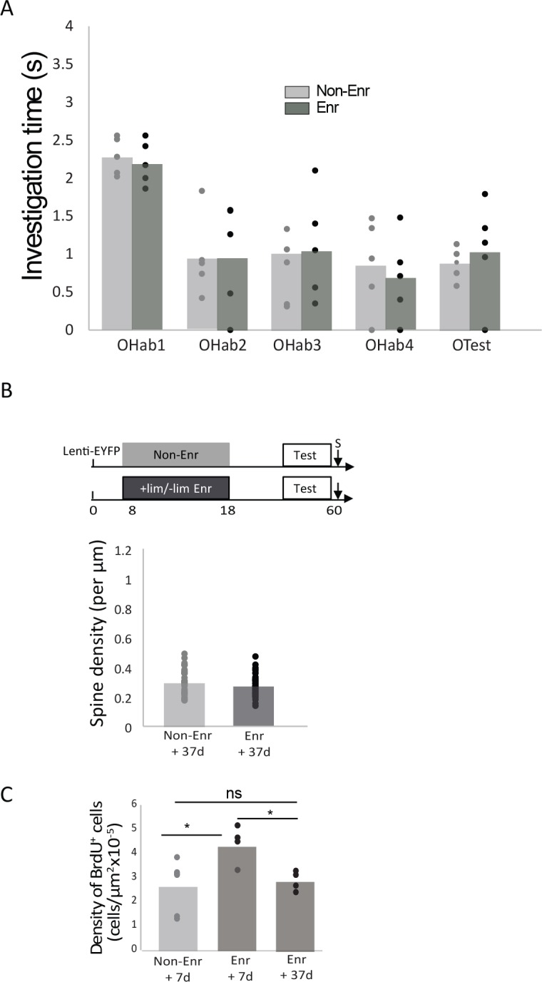 Figure 1—figure supplement 2.