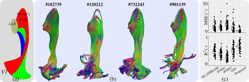 Fig. 8.