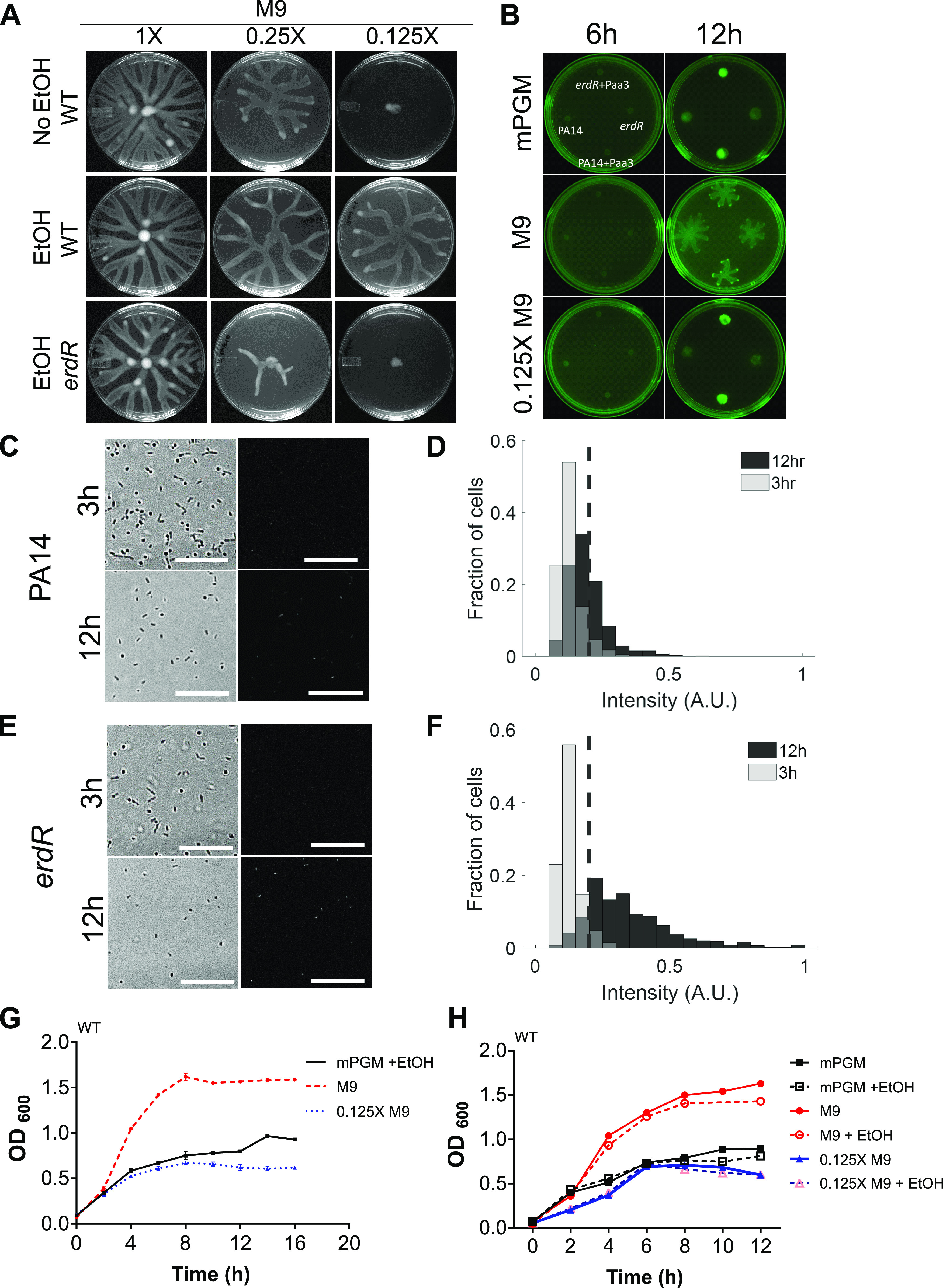 FIG 4