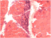 Figure 5-2.