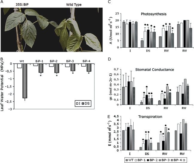 Fig. 2.