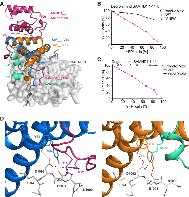 Figure 6