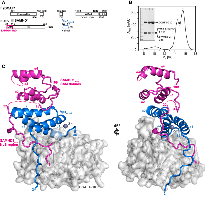 Figure 2