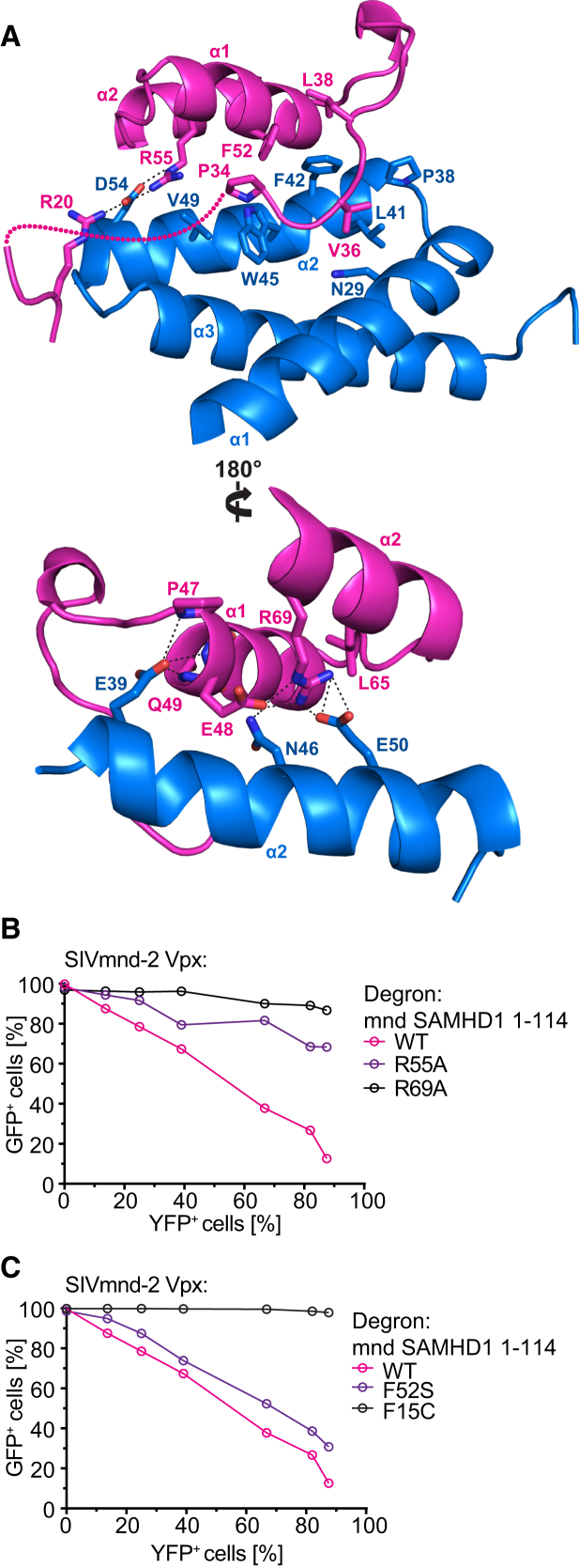 Figure 5