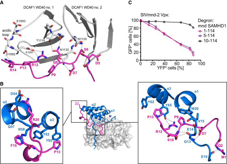 Figure 4