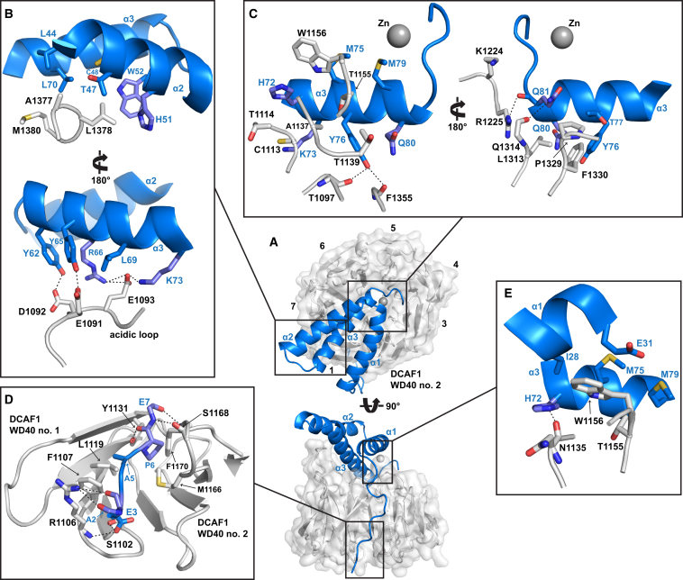 Figure 3