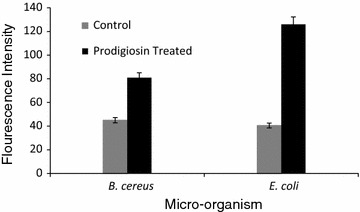 Fig. 3