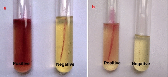 Fig. 7