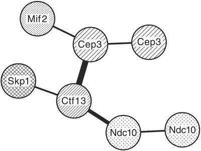 FIG. 2.