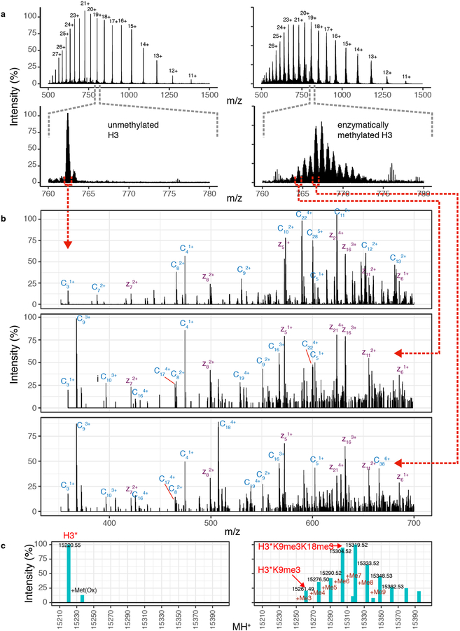 Extended Data Figure 7: