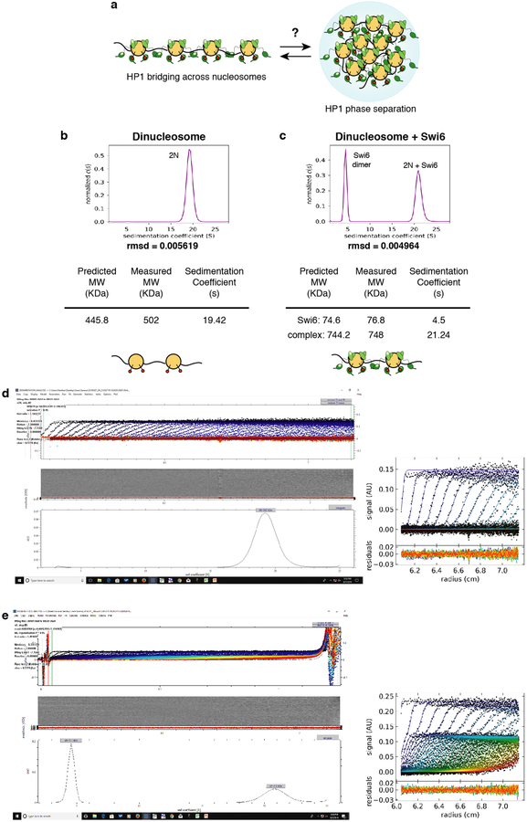 Extended Data Figure 1: