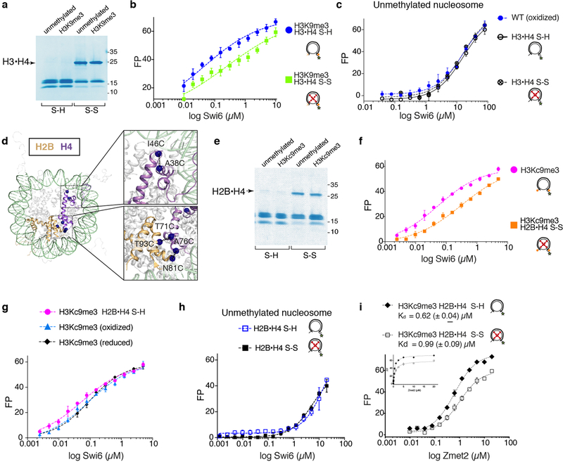 Extended Data Figure 6: