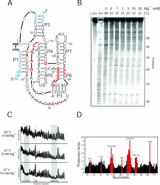 FIGURE 1.